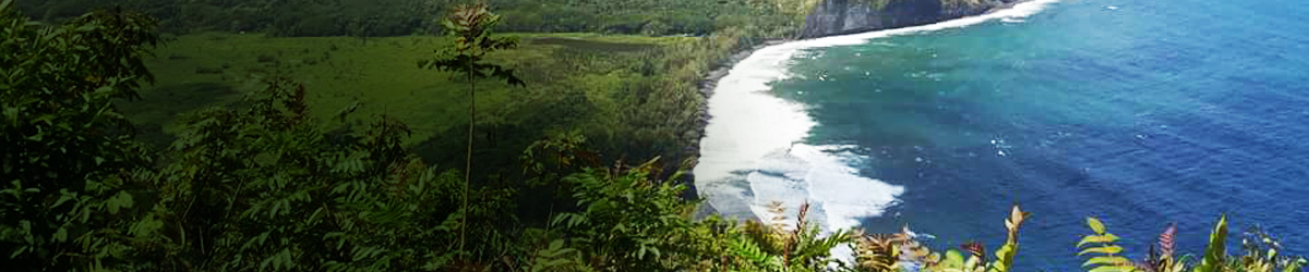 scenic view of waves crashing on Hawaii coastline